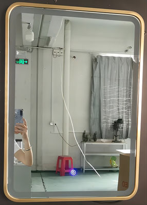 검정/금 알루미늄 구조 빛을 가진 정연한 현대 허영 거울
