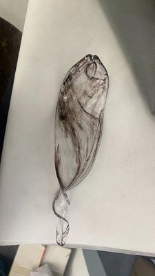 현대 맞춤형 대형 호텔 천장 장식 프로젝트 손으로 만든 유리 Pendant 램프 촛불